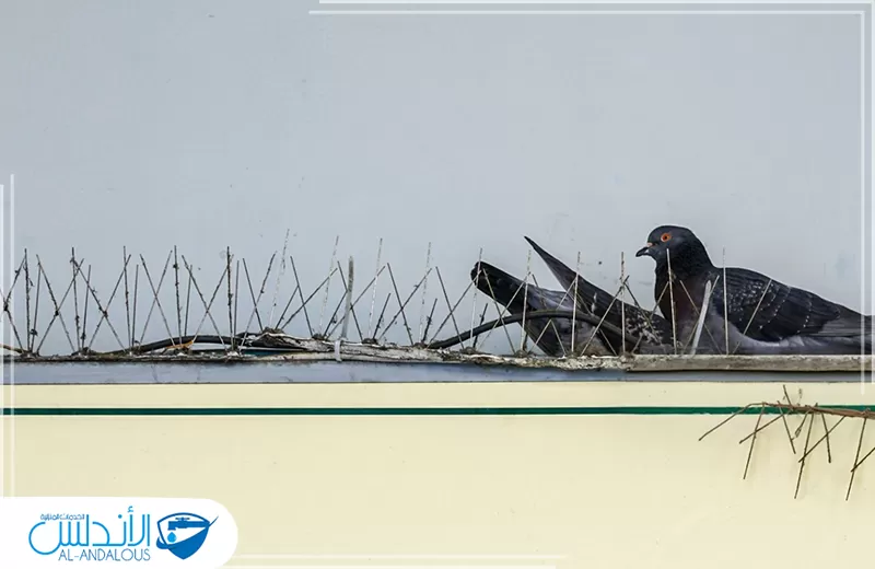 تركيب طارد حمام بالرياض تركيب طارد حمام بالرياض