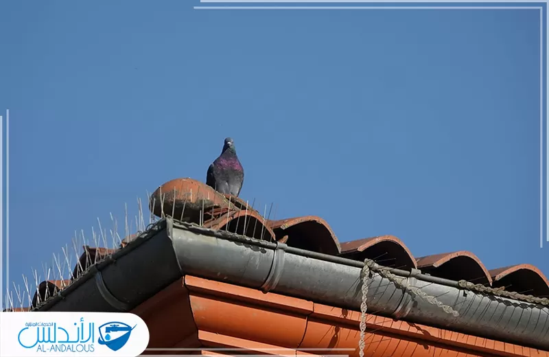 فني تركيب طارد حمام بالرياض فني تركيب طارد حمام بالرياض