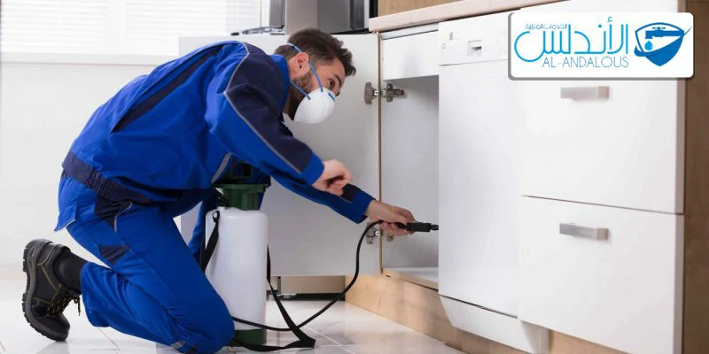 شركة مكافحة العقارب بالرياض