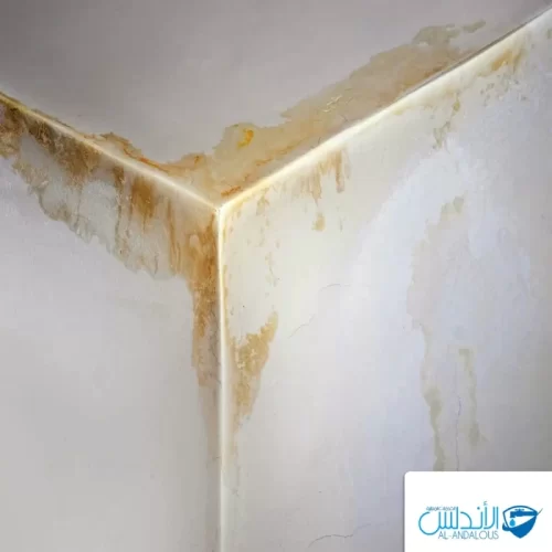 تسربات المياه من السقف بالرياض كشف تسرب المياه من السقف