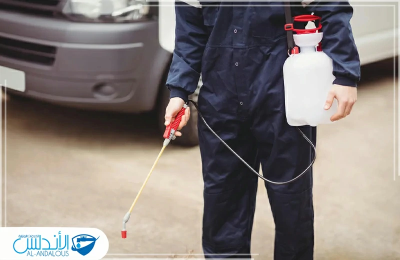 رش الذباب بالمبيدات بالرياض رش الذباب بالمبيدات بالرياض