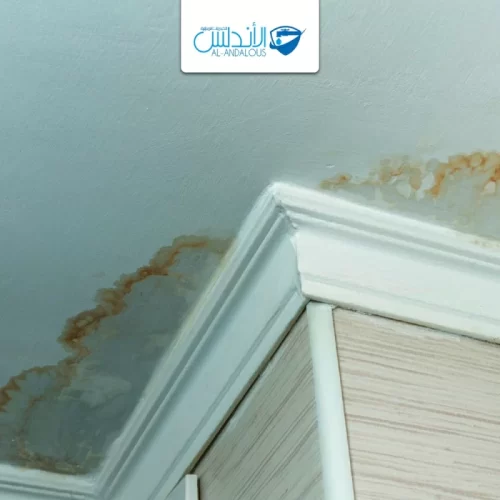 أسباب تسرب الماء داخل الجدار أسباب تسرب الماء داخل الجدار